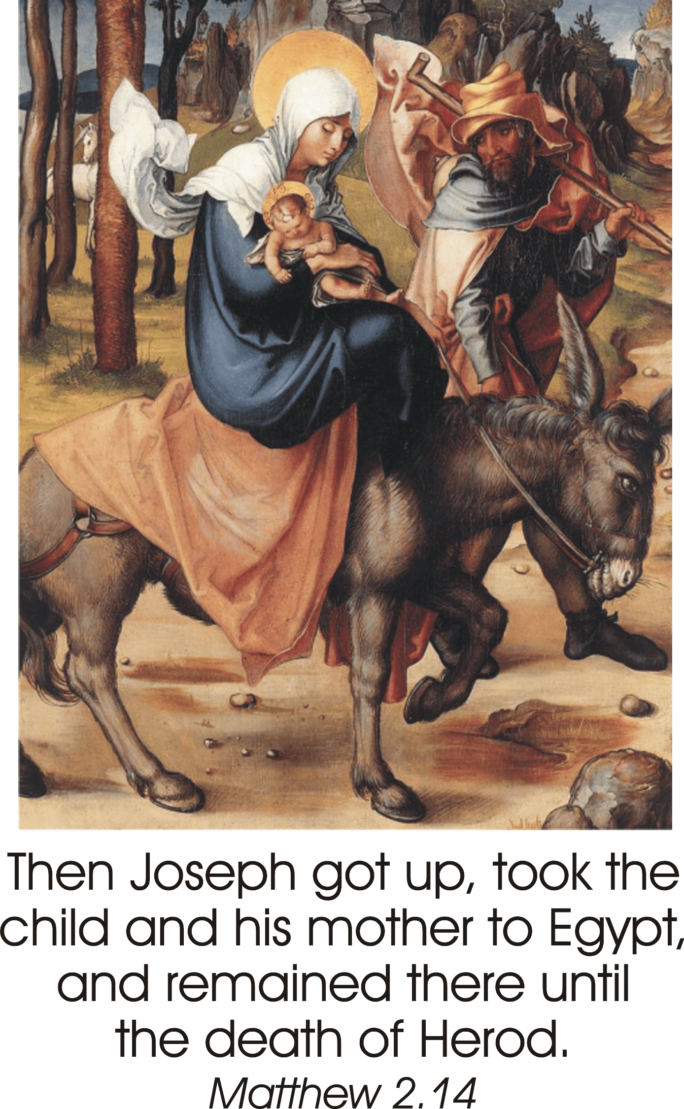 Year C Advent Fourth Sunday 