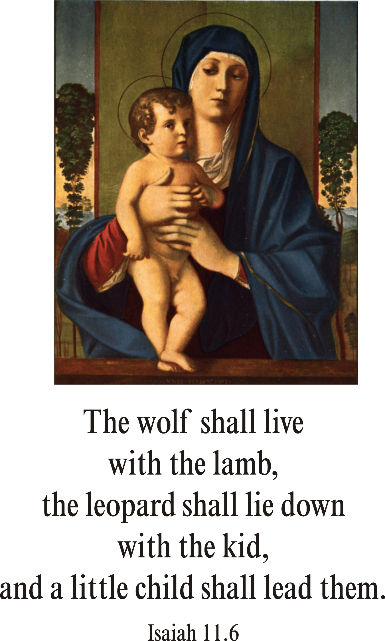 Year A Advent Second Sunday 