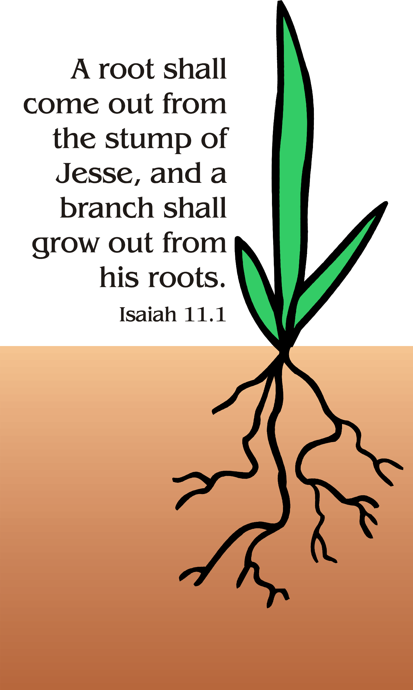 Year A Advent Second Sunday 