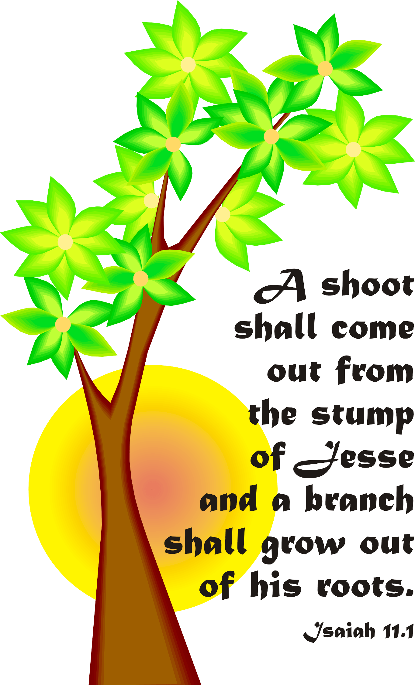 Year A Advent Second Sunday 