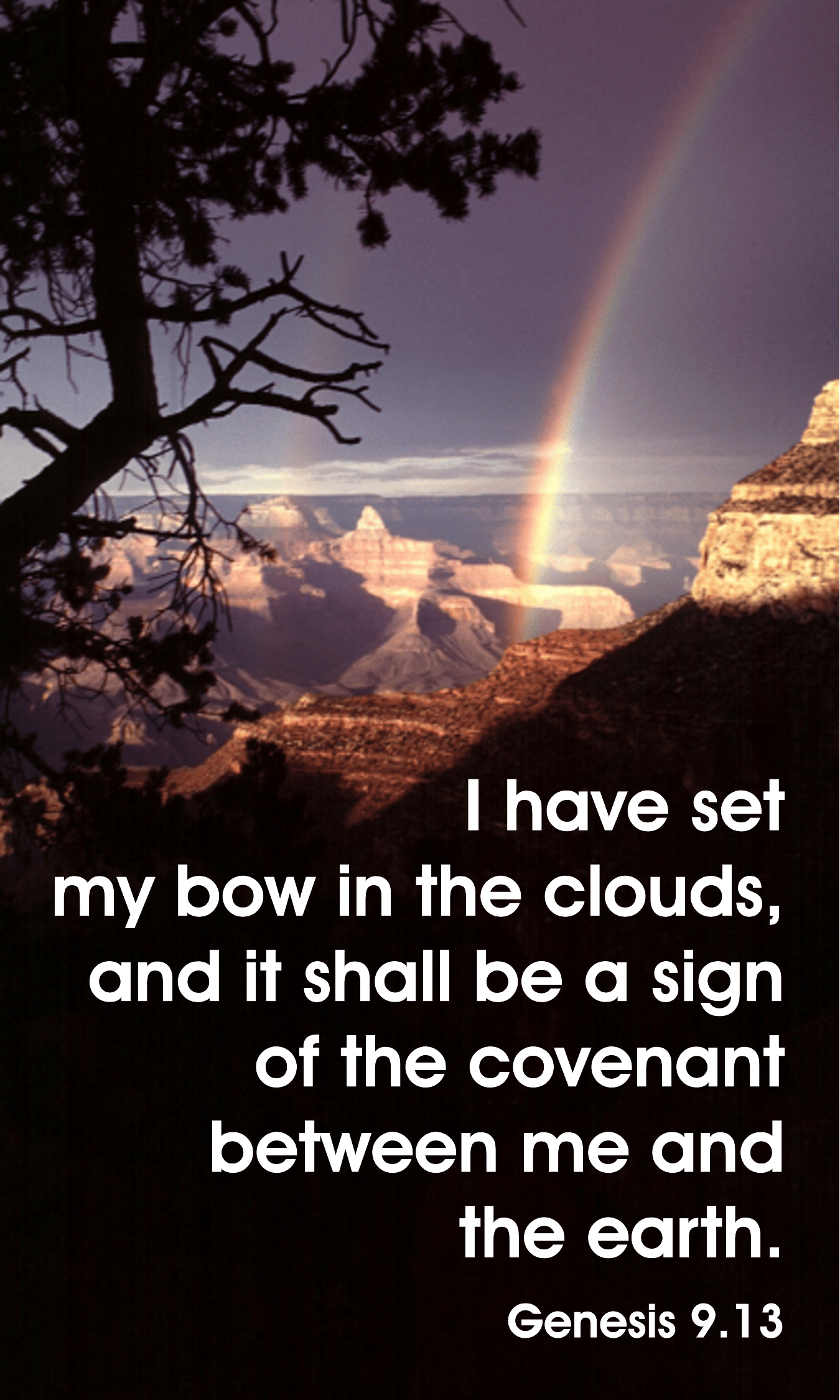 Year B Lent First Sunday 
