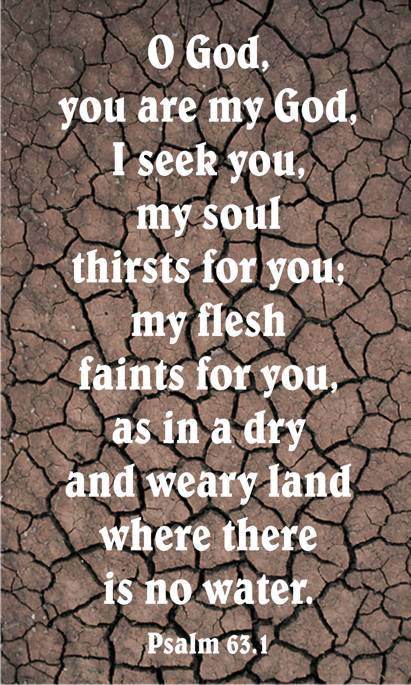Year C Lent Third Sunday 