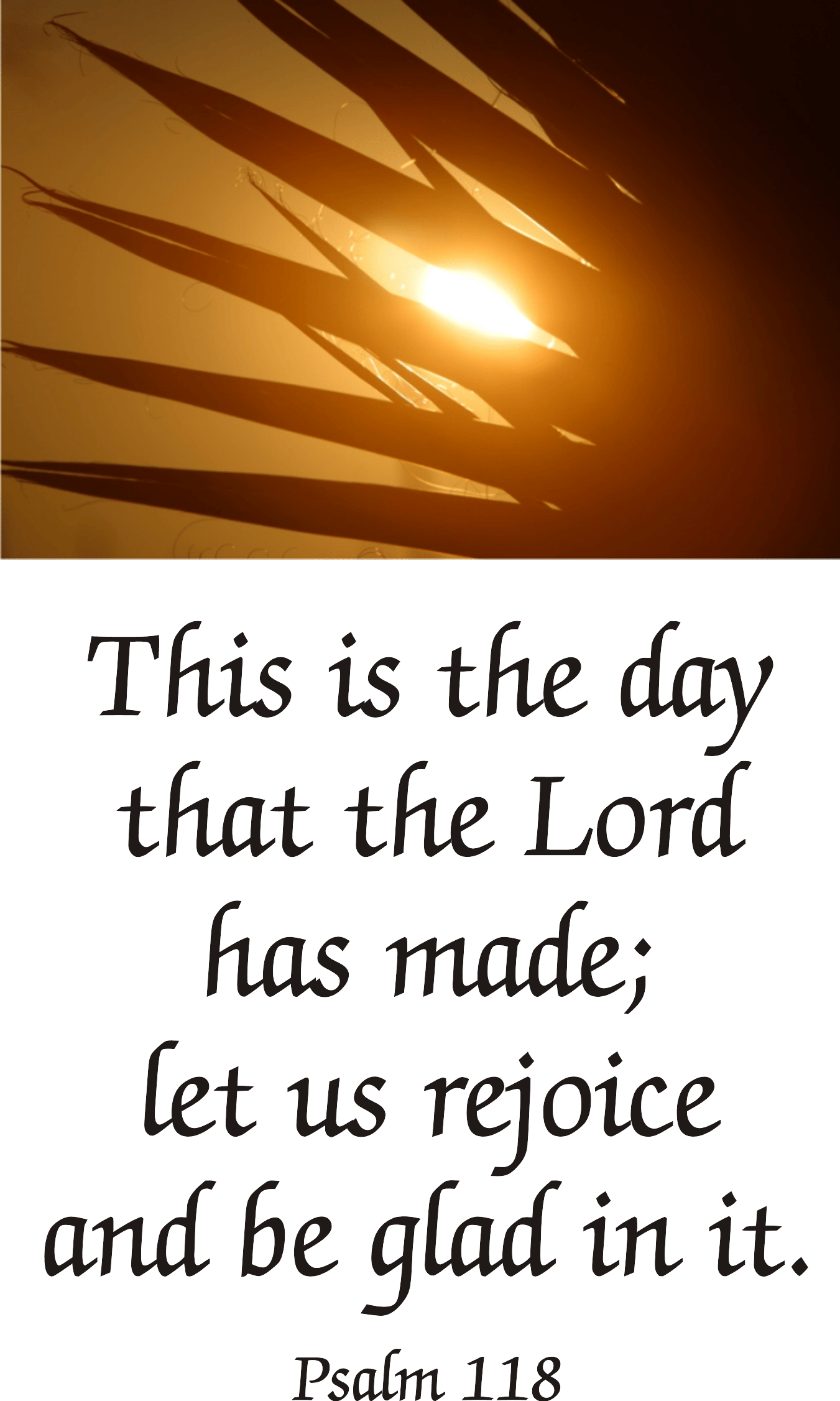 Year C Lent Palm/Passion Sunday