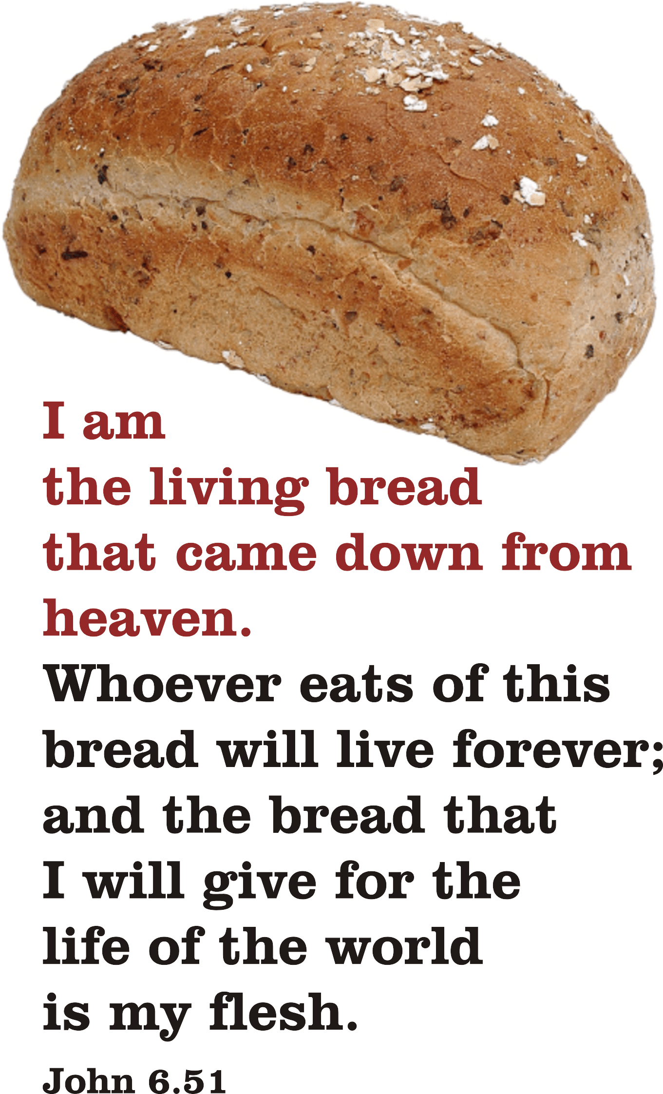 Year B After Pentecost Proper 14