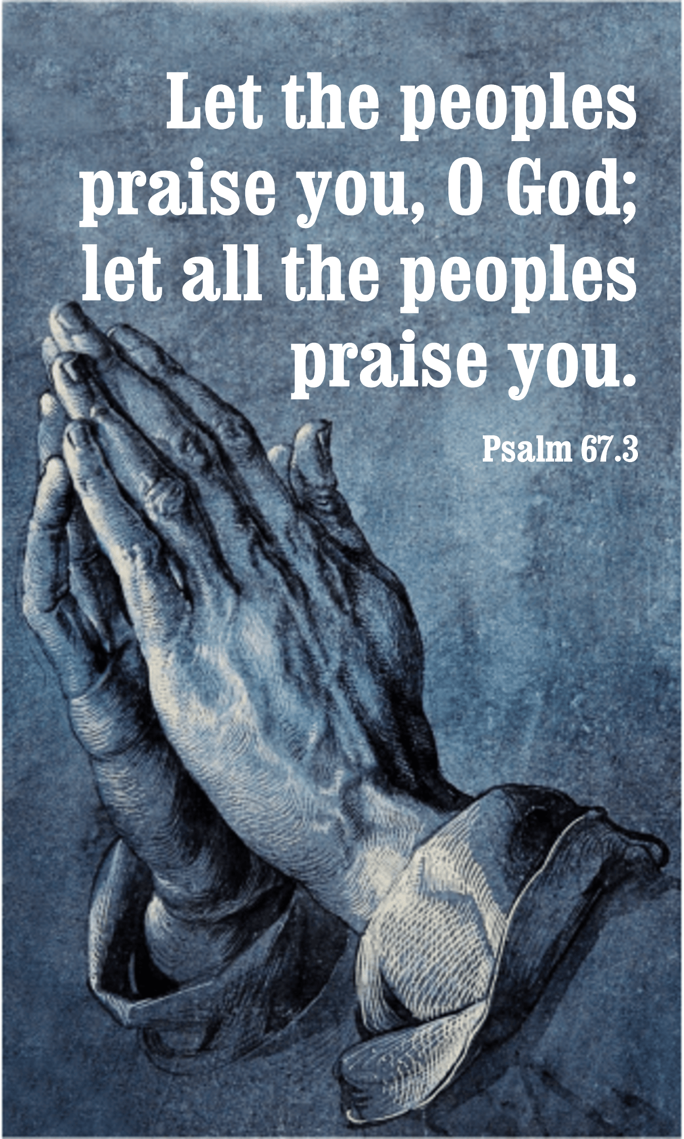 Year A After Pentecost Proper 15
