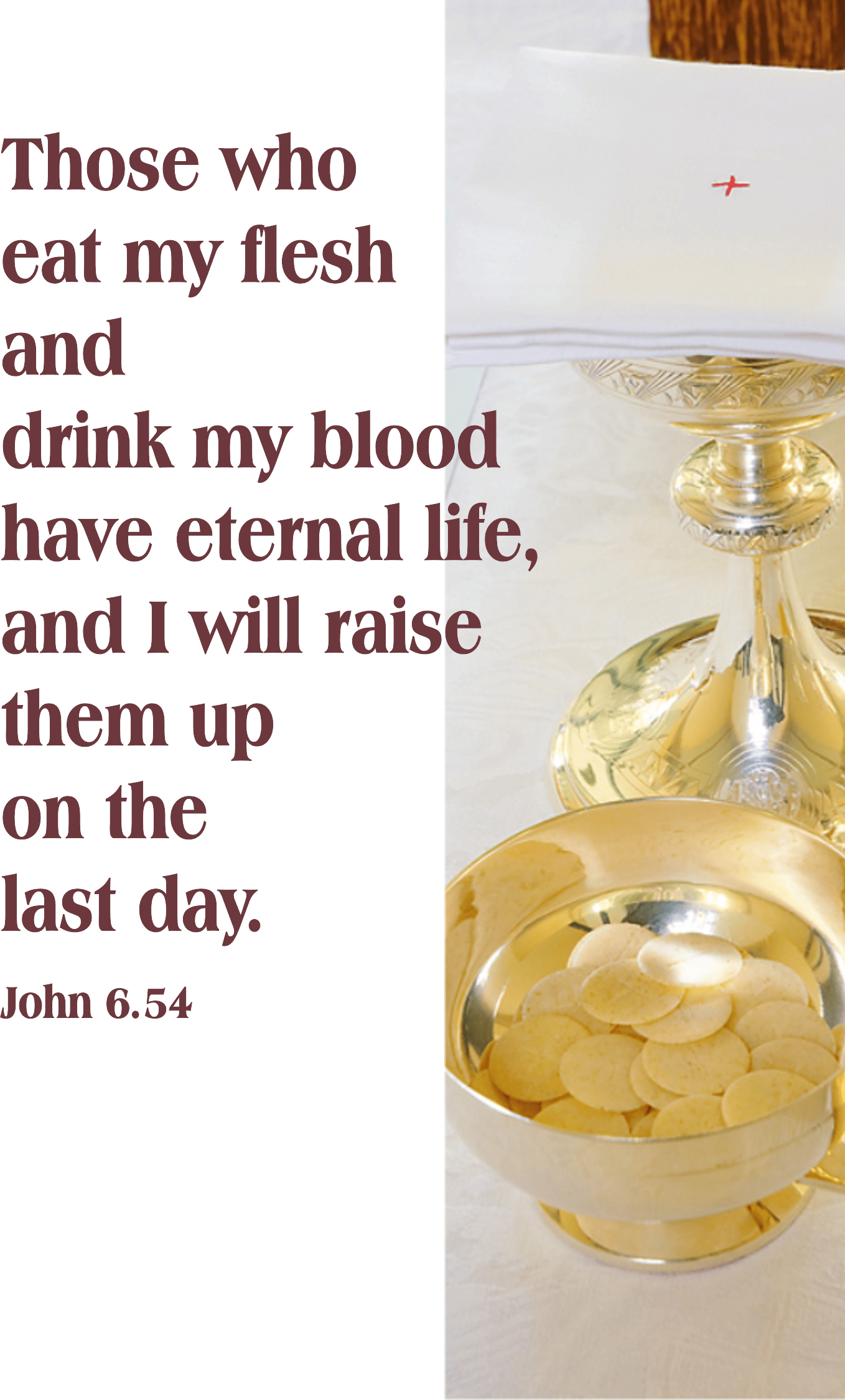 Year B After Pentecost Proper 15