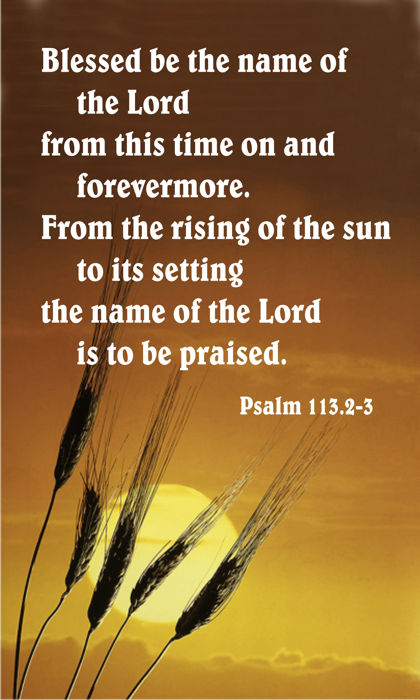 Year C After Pentecost Proper 20