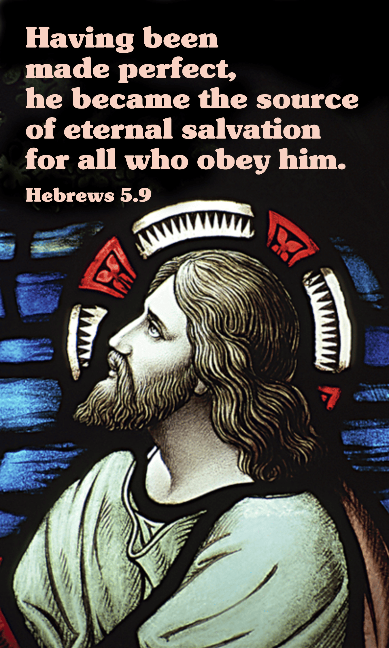 Year B After Pentecost Proper 24