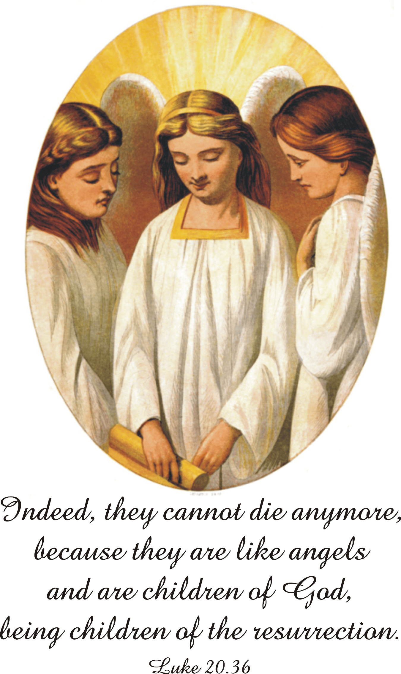 Year C After Pentecost Proper 27