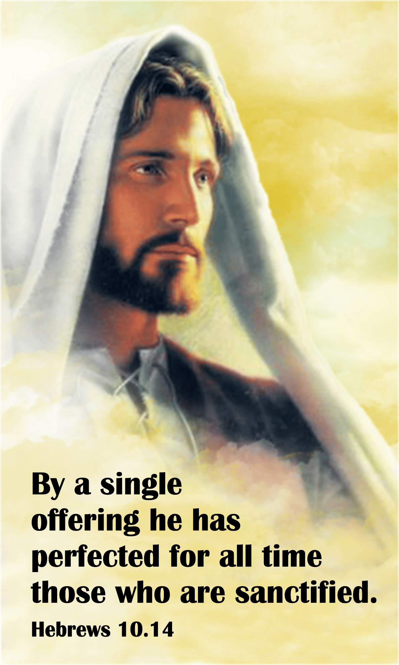 Year B After Pentecost Proper 28