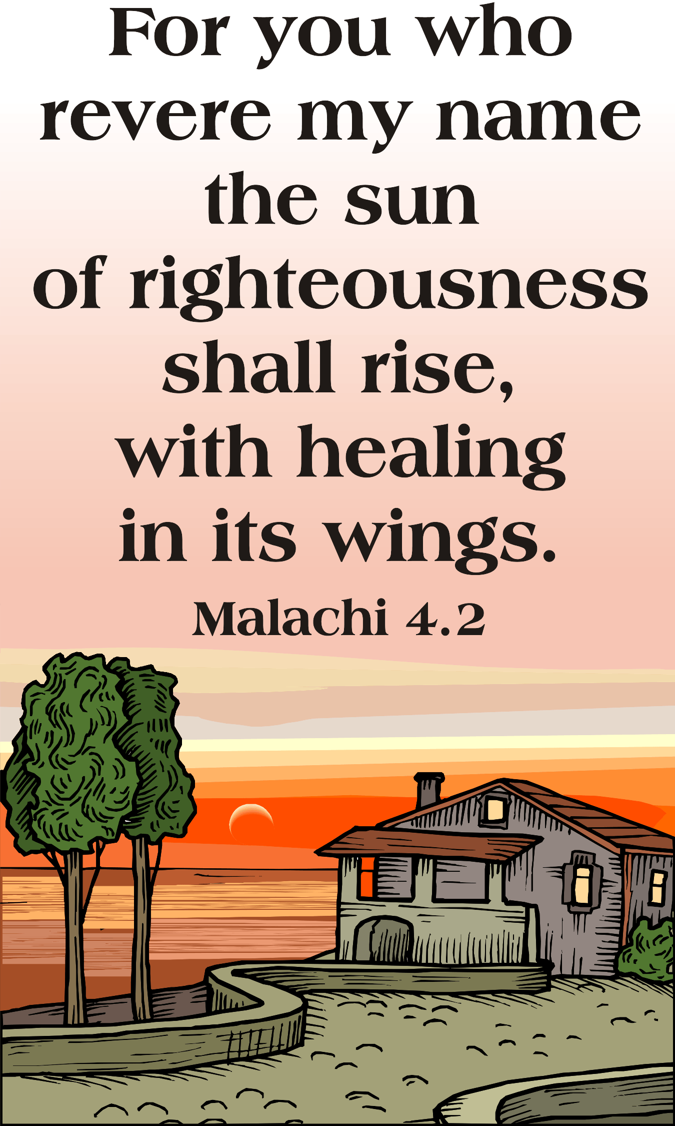 Year C After Pentecost Proper 28