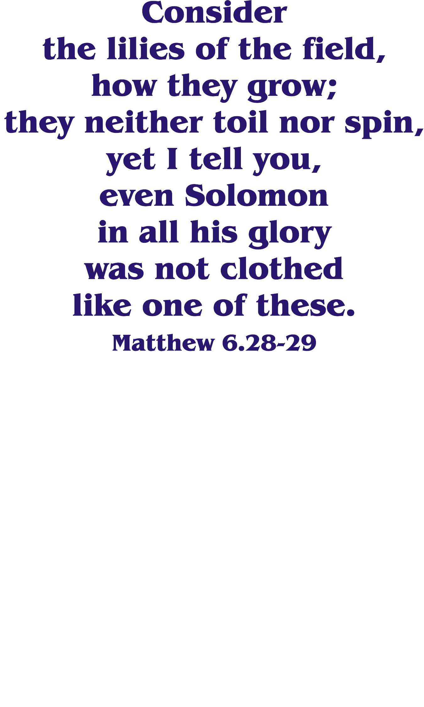 Year A Epiphany Eighth Sunday 