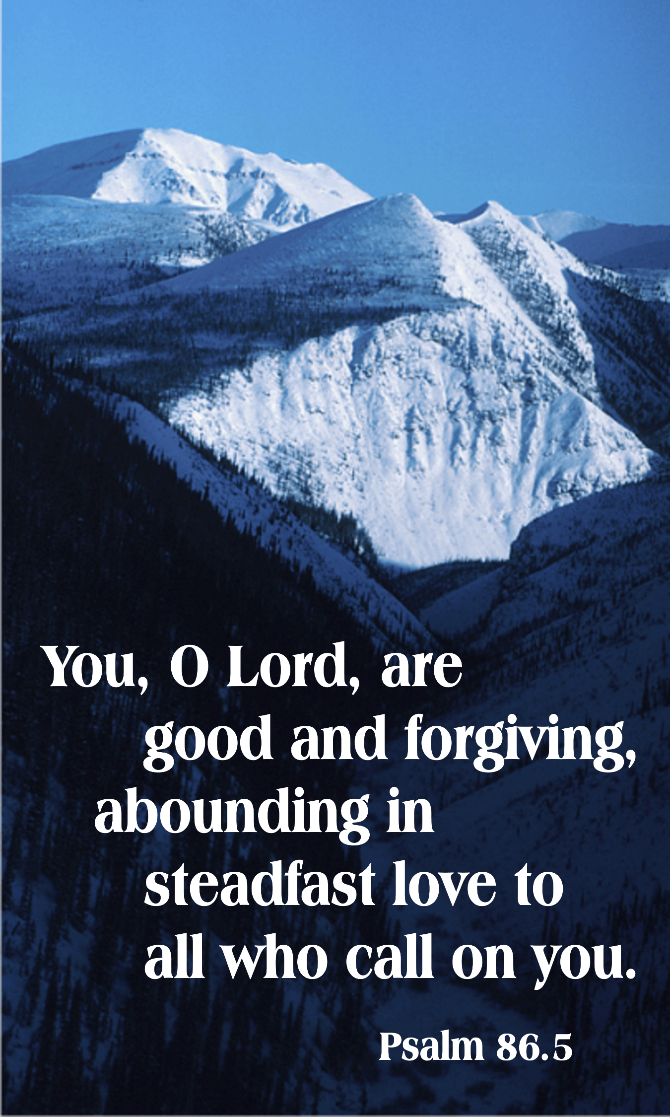 Year A After Pentecost Proper 7