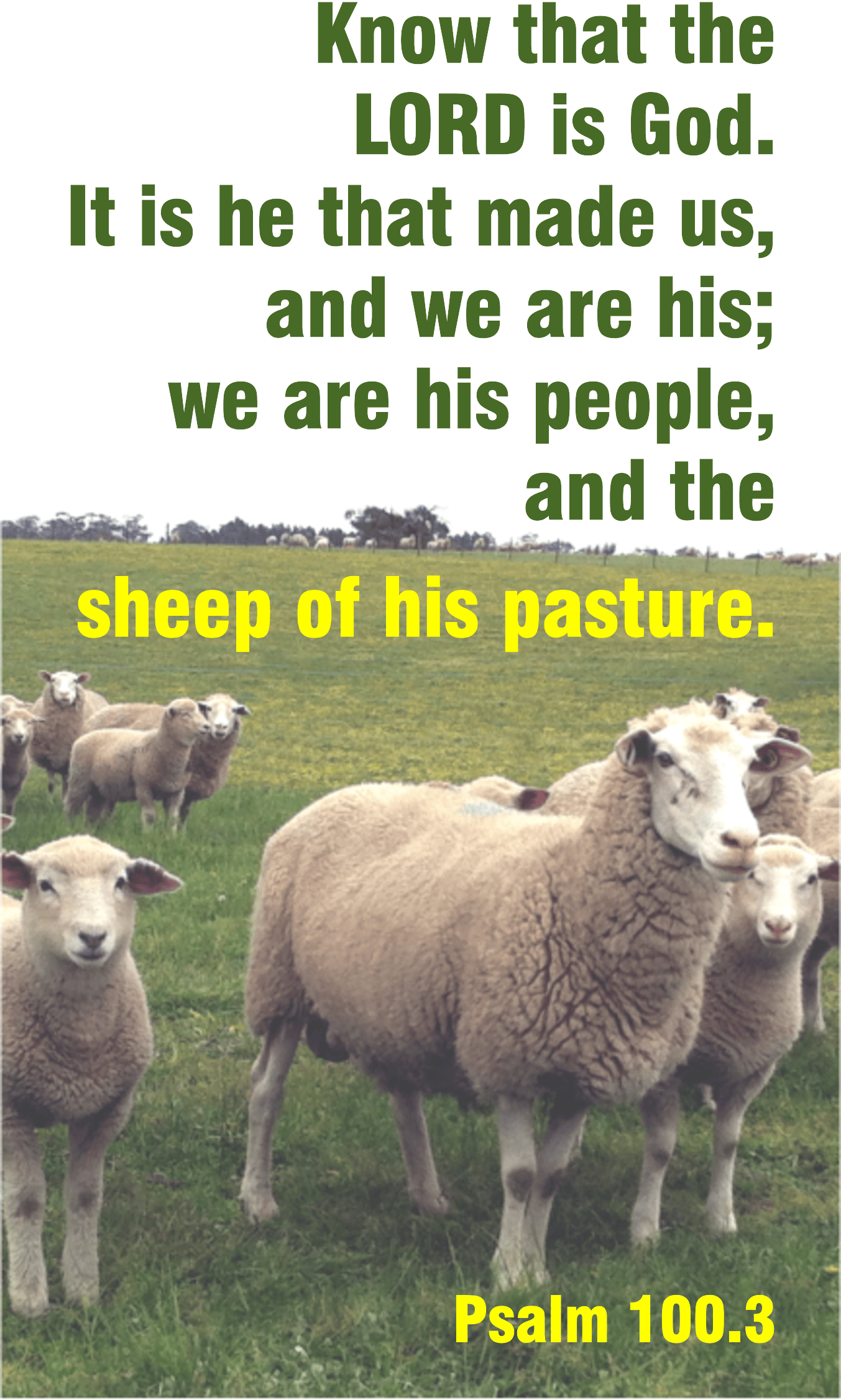 Year A After Pentecost Reign of Christ (Proper 29)