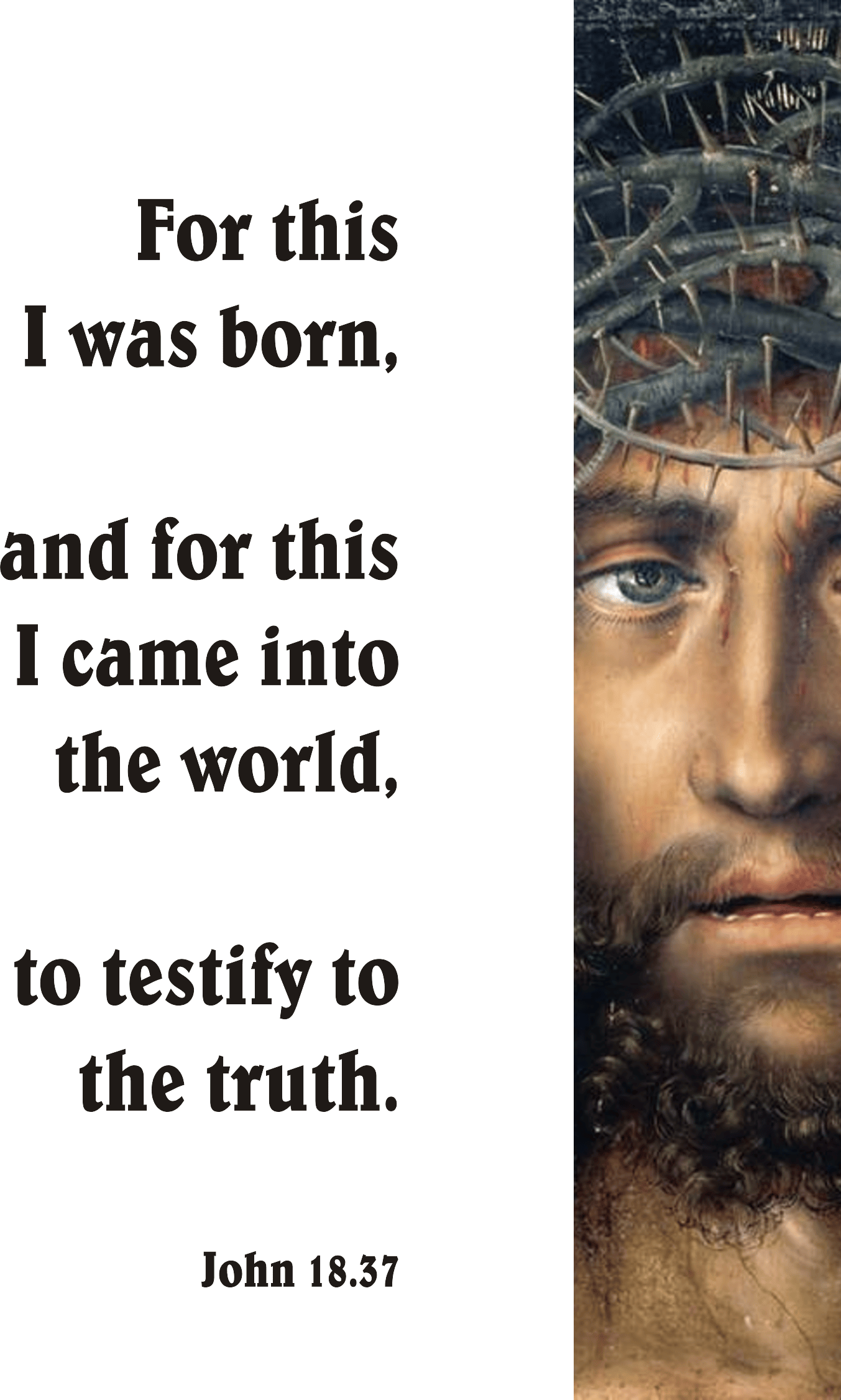 Year B After Pentecost Reign of Christ (Proper 29)