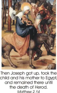 Year C Advent Fourth Sunday 