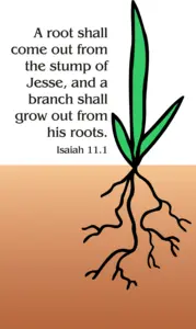 Year A Advent Second Sunday 