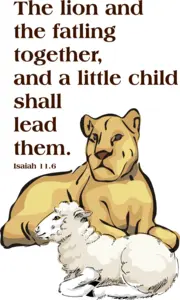 Year A Advent Second Sunday 