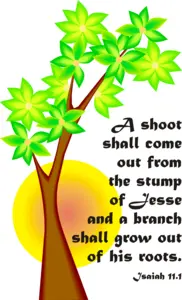 Year A Advent Second Sunday 