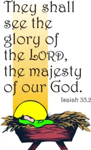Year A Advent Third Sunday 