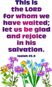 Year B After Pentecost All Saints Day