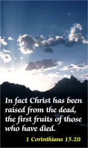 Year C Easter Easter Sunday