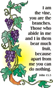 Year B Easter Fifth Sunday 