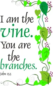 Year B Easter Fifth Sunday 