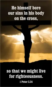 Year A Easter Fourth Sunday 