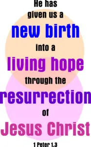 Year A Easter Second Sunday 