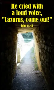 Year A Lent Fifth Sunday 