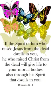 Year A Lent Fifth Sunday 