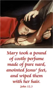 Year C Lent Fifth Sunday 