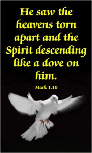 Year B Lent First Sunday 