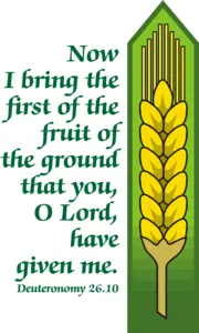 Year C Lent First Sunday 
