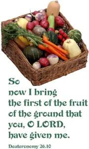 Year C Lent First Sunday 