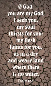 Year C Lent Third Sunday 
