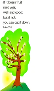 Year C Lent Third Sunday 