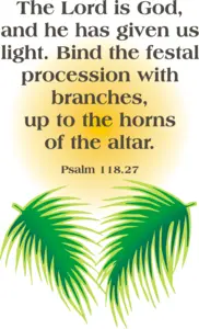 Year A Lent Palm/Passion Sunday