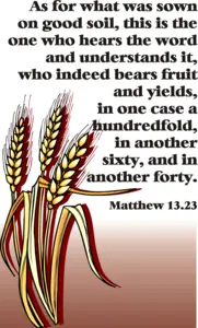 Year A After Pentecost Proper 10