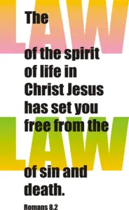 Year A After Pentecost Proper 10
