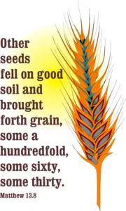 Year A After Pentecost Proper 10