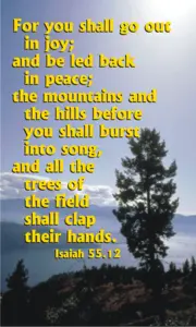 Year A After Pentecost Proper 10