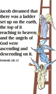 Year A After Pentecost Proper 11