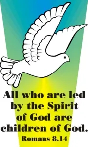 Year A After Pentecost Proper 11