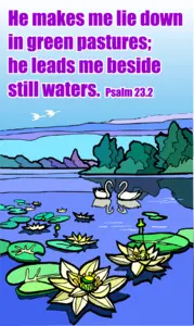 Year B After Pentecost Proper 11