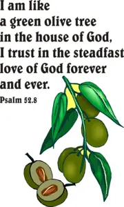 Year C After Pentecost Proper 11