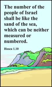 Year C After Pentecost Proper 12