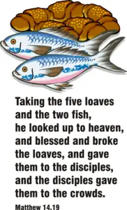 Year A After Pentecost Proper 13