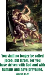 Year A After Pentecost Proper 13